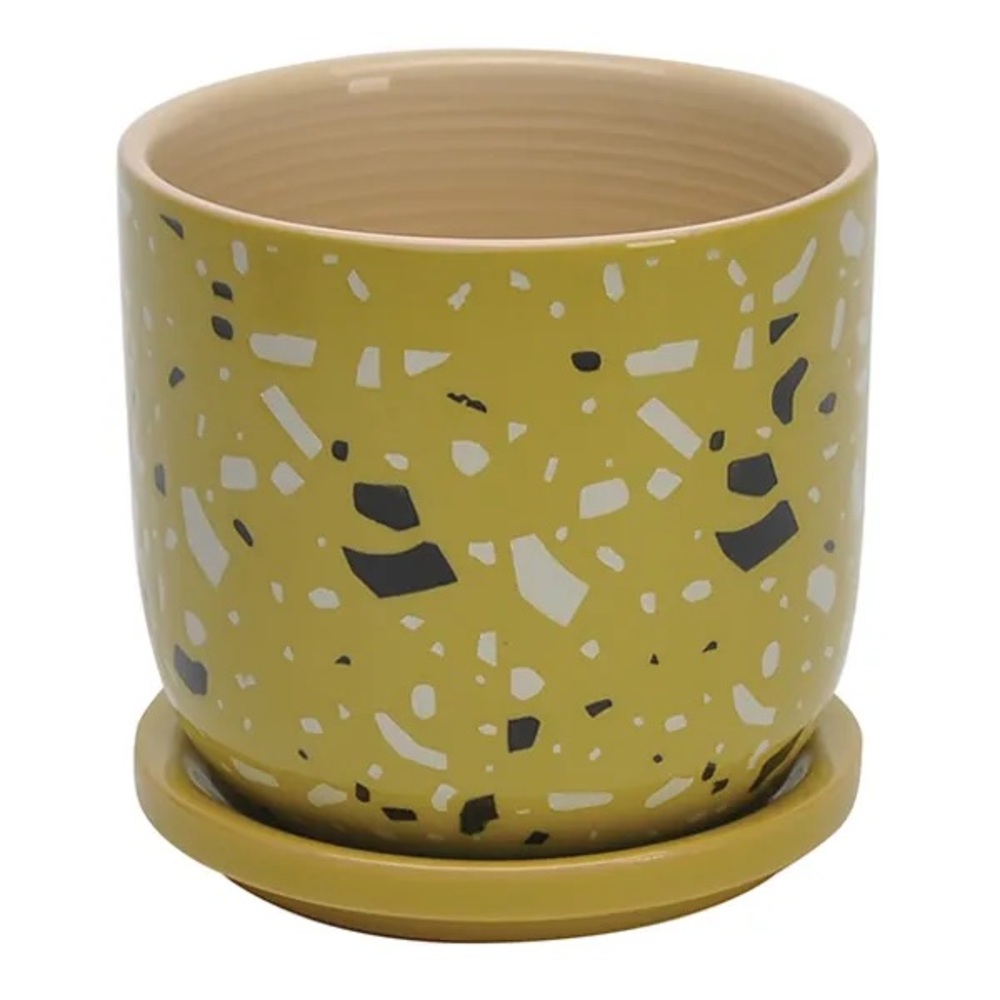 Ceramic Planter with Saucer/Drainage / Pen and Pencil Cup Holder 4.5” x 4.5”
